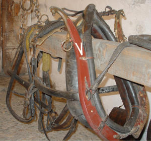 Finimenti da festa (1900 - 1920)