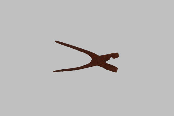 Pinza