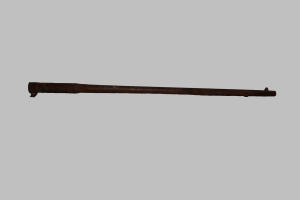 Canna fucile (1850)