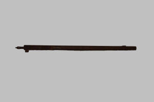 Canna fucile (1880)