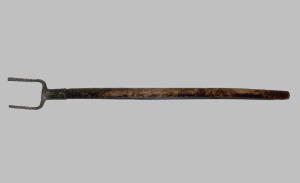 Forcone (1890)