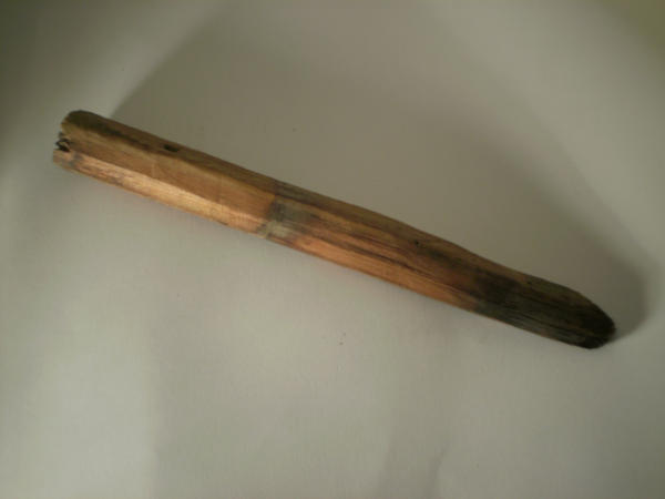 Cavicchio