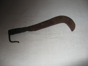 Roncola