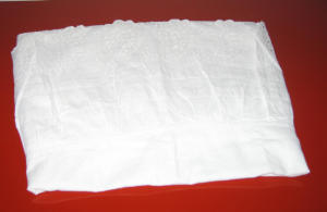Sottoveste