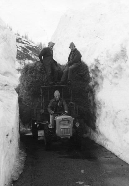 Trasporto del fieno col trattore in località Canza durante l'inverno
