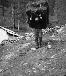 Uomo che porta un mazzo di fieno (1965)
