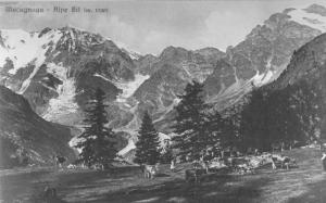 Alpe Bill (1950)